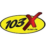 103X