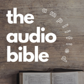The Audio Bible