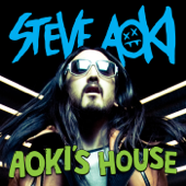 AOKI'S HOUSE