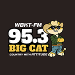 95.3 Big Cat