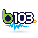B103