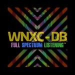 Radio Free Raleigh