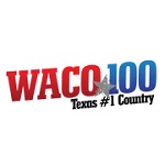 WACO 100